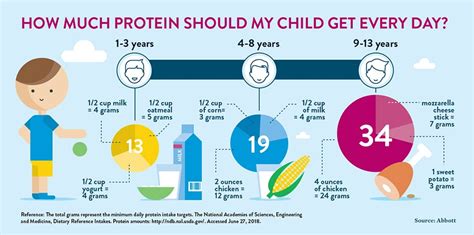 How Many Grams of Protein Does a 2-Year-Old Need? And Why Do Toddlers Dream of Cheese-Fueled Adventures?